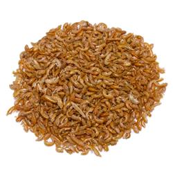 Gammarus 105ml